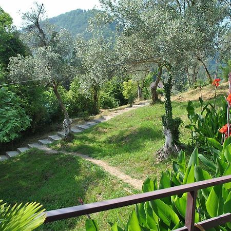 Villa Oliva New Athos Ngoại thất bức ảnh